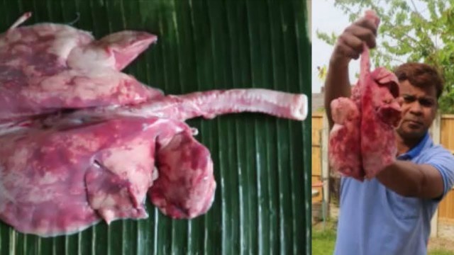 'GOAT LUNGS||GOAT LUNGS PREPARED BY JOBY VAYALUNKAL FOOD FACTORY||'