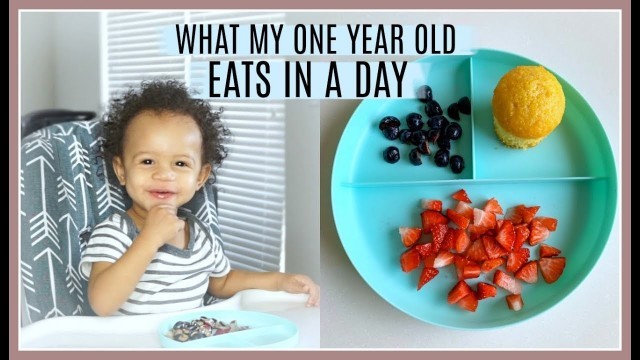 'WHAT MY ONE YEAR OLD EATS IN A DAY | 13 MONTHS OLD'