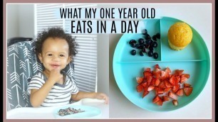 'WHAT MY ONE YEAR OLD EATS IN A DAY | 13 MONTHS OLD'