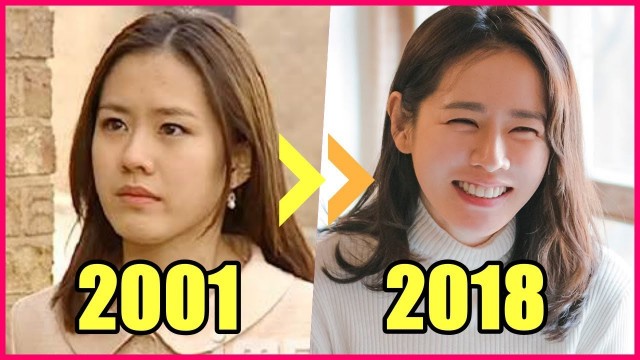 'Pretty Sister Who Buys Me Food SON YE JIN EVOLUTION 2001-2018'