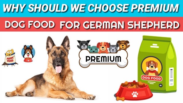 'Why premium dog food best for German Shepherd / in hindi / Best Food For German Shepherd'