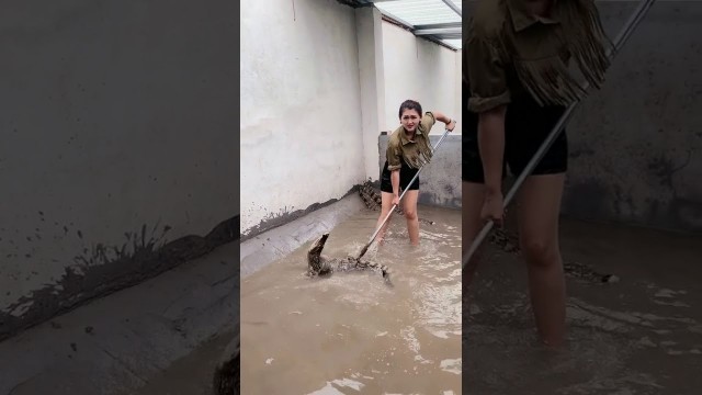 'Group of crocodiles in Crocodile farm , Give food to them, This is my work every day 48'