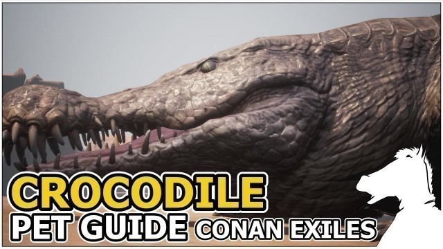 'CROCODILE | Pets Guide | CONAN EXILES'