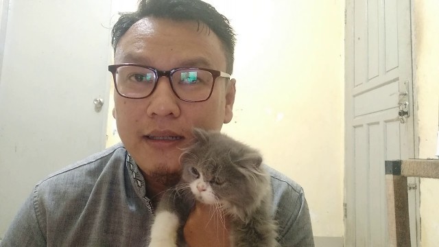 'Apakah Memberi Makan Daging Mentah Baik untuk Anjing atau Kucing?'