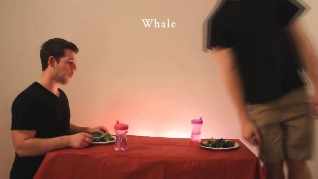 'How Animals Eat Their Food - Whale - Remix'