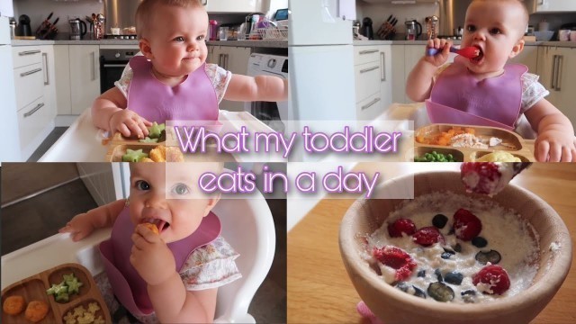 'WHAT MY 13 MONTH OLD EATS IN A DAY | Breast fed toddler & meal ideas'