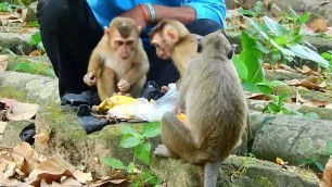 'It’s beautiful to see Savana shared food with timo Torres so happy, they are happy timo look Savana'