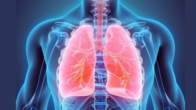 '5 Foods That Will Detoxify Your Lungs And Heal Them Naturally'