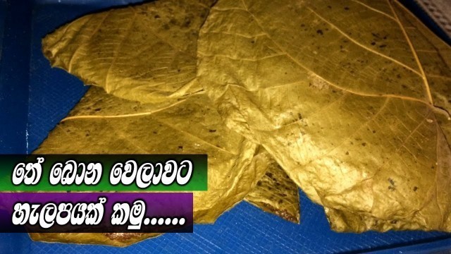 'Halapa Recipe By Village Kitchen | Sri Lankan Foods ලේසිම විදිහට හැලප හදමුද?'