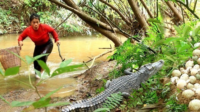 'woman find food meet Egg crocodile  -curry Egg crocodile for dog -cooking in forest HD'