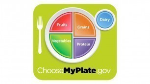 'Introducing the New Food Icon: MyPlate'