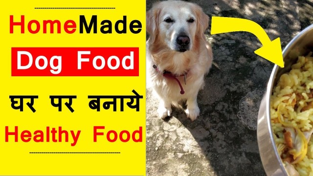 'How to Make Homemade Dog Food in India - Hindi'