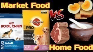 '5 best food for dog | homemade dog food | dog food in hindi'