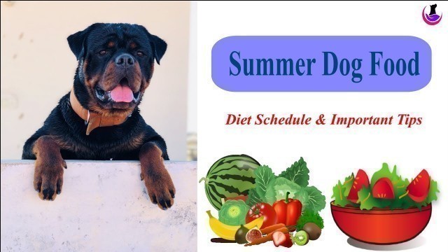 'SUMMER DOG FOOD: Special Care Tips II dog and vet II Hindi'