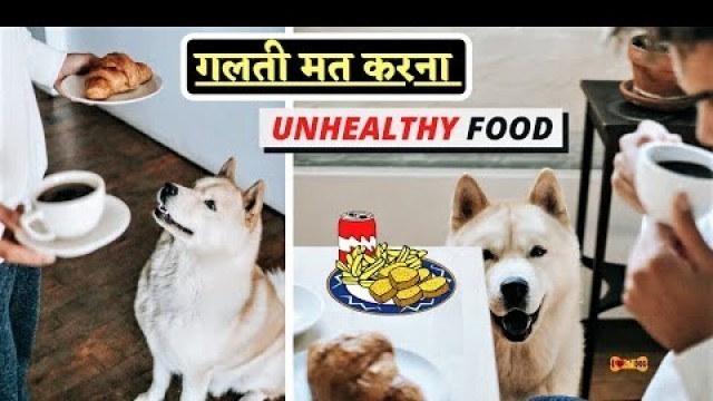 'Harmful Dog Foods | Dog Food | Harmful Homemade Dog Food | In Hindi -  I LOVE DOGS'