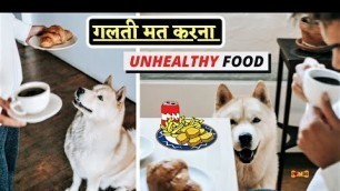 'Harmful Dog Foods | Dog Food | Harmful Homemade Dog Food | In Hindi -  I LOVE DOGS'