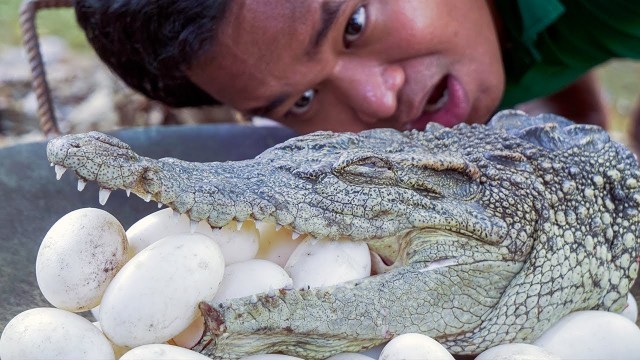 'Cooking Crazy Food! Cooking Crocodile Head & Eggs For Delicious Eating Recipe in The Forest'