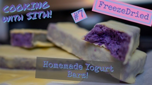 'Freeze Dried #7 - Homemade Yogurt Bars'