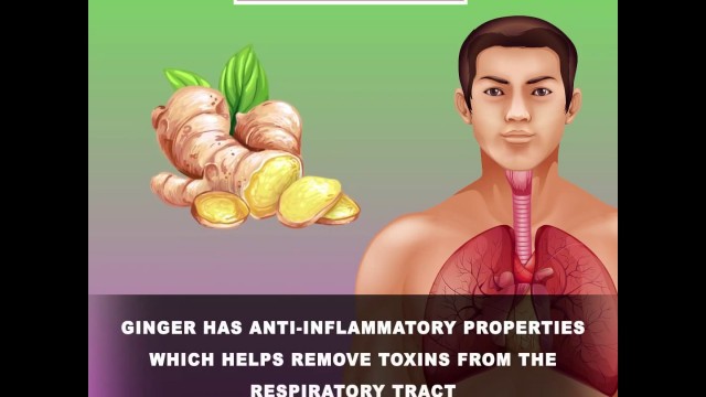 '6 Foods That Will Detoxify Your Lungs \\ good for your lungs || take more'