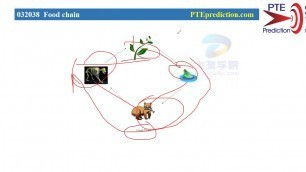 '【PTE prediction】Speaking- Describe Image--FLow--Food chain'