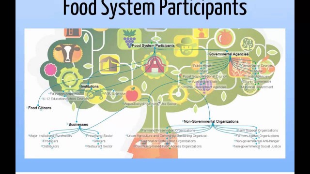 'Food Web: Shared Brain and Food Policy Map'