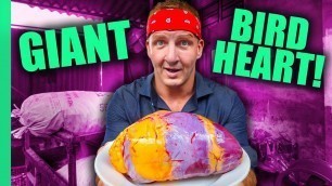 'Can You Eat That?? World’s STRANGEST Animal Organ Dishes!! | Full Series (Sonny & Calvin)'