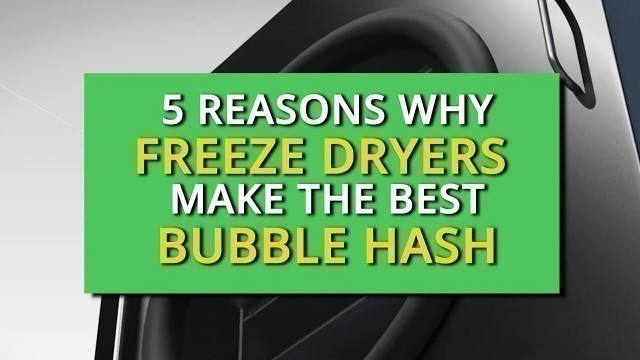 '5 Reasons Why Freeze Dryers Make the Best Bubble Hash'