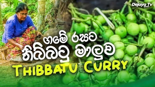 'ගමේ රසට තිබ්බටු මාලුව | Thibbatu Curry | Sri Lankan Food Recipe | Recipe in Sinhala'