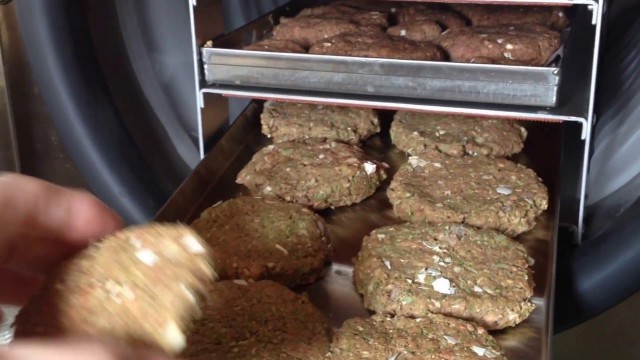 'RAW MEAT & veggie burger dog food in my Home Freeze Dryer. Healthy animal food.'