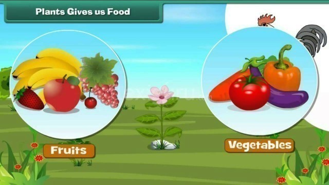 'Plants gives us food'