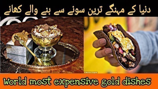 'Top 5 most expensive food made by gold | سونے سے تیار کردہ 5 سب سے مہنگے کھانے| Tiedot Tv'