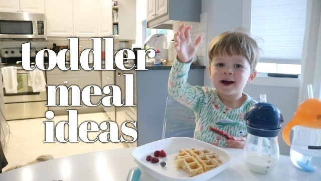 'What My 2 Year Old Eats in a Day / Toddler Meal Ideas'