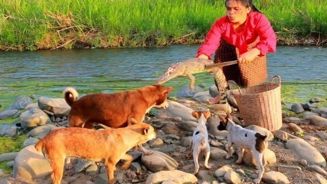 'cooking in forest- woman finding food met crocodile dead in river- steam crocodile for dog food HD'