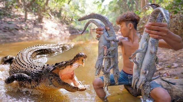 'Survival Life - Amazing Founding Crocodile n Catch for Food Eating Delicious'