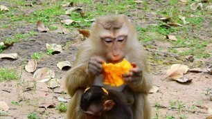 'Rose shared food to Rex today, so sweet muma with nice bay..'