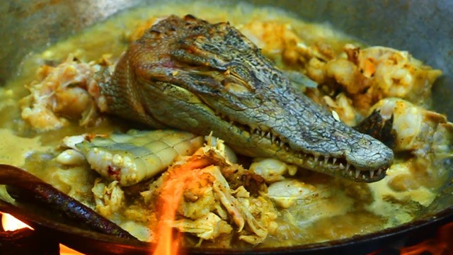 'finding & Cooking Crocodile food recipe - cook Crocodile meat Soup'