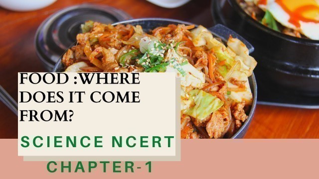 'food where does it come from class 6 | science ncert class 6 | class 6 science chapter 1'