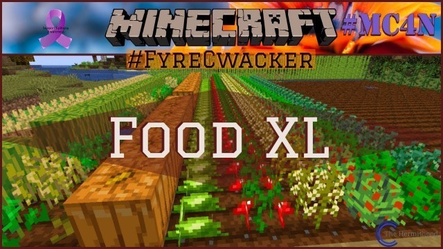 'Food XL & More! Episode 7 #FyreCwacker - All The Mods 4'