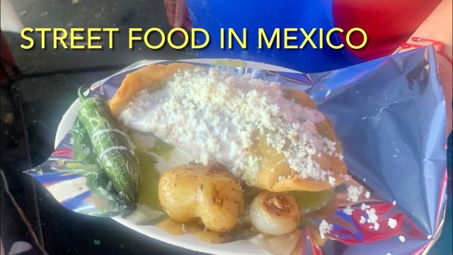 'Street Food in Mexico |Tacos Quesadillas and Tamales | cheap eats Mexico'