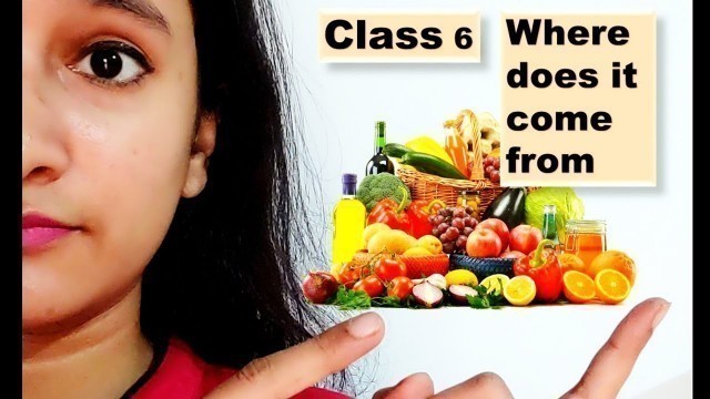 'Class 6 science Food where does it come from | NCERT Science chapter 1 |'