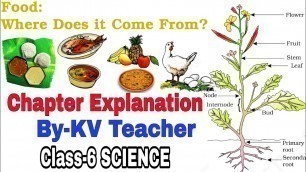 'Food : Where does it come from / Class 6 Science Chapter 1 NCERT\'s Explanation by KV teacher'