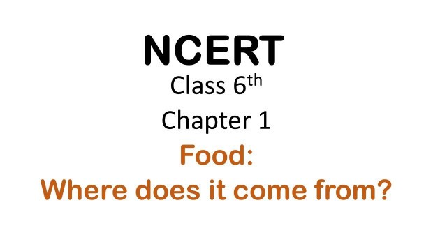 'NCERT Class 6th Chapter 1 Food Where Does it come from?'