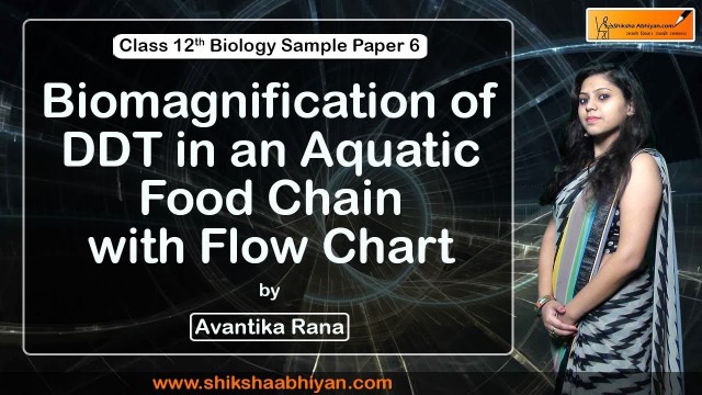 'Q22 Biomagnification of DDT in an aquatic food chain with flow chart-#CBSE Class12 Biology'