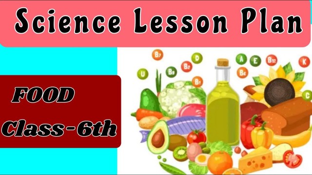 'Science Lesson Plan || FOOD-Where does it come from'