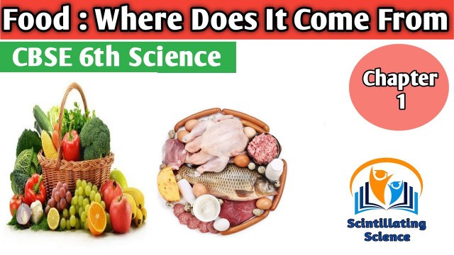 'CBSE 6th Science Chapter 1 FOOD Where Does It Come From 6th science NCERT science chapter 1'