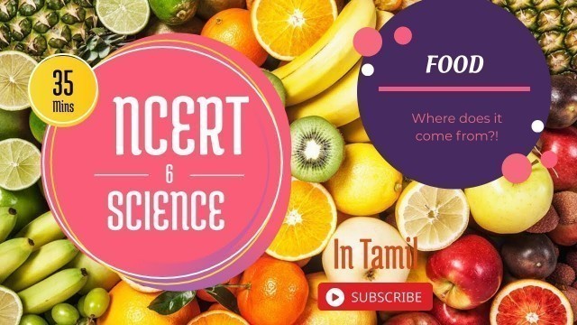 'Food where does it come from | CBSE/NCERT Grade 6 Science chapter 1 | in Tamil'