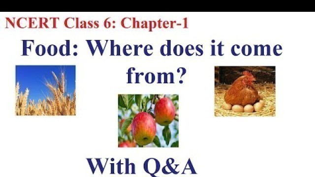 'NCERT Class 6 Chapter 1 Food Where does it come from'