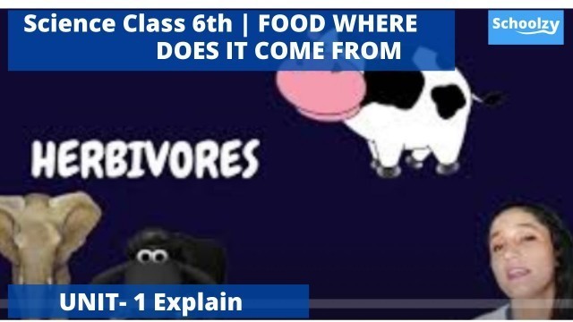 'Unit 1 FOOD WHERE DOES IT COME FROM | Science Class 6th NCERT | Explain'