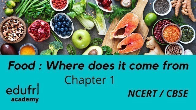 'Food : Where does it come from L1| class 6th science| NCERT| CBSE|Hindi'