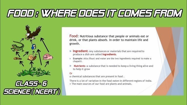 'FOOD : WHERE DOES IT COMES FROM || NCERT || FOSTER EDUCATION ||'